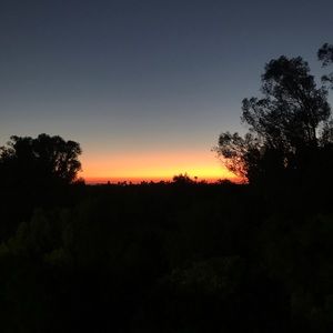 Meet your Posher, Trinity